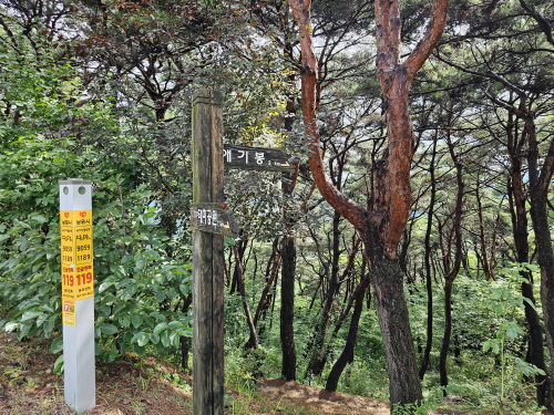남원 가볼만한 곳- 애기봉에서 맨발걷기, 산책, 등산하세요