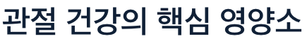 관절에 좋은 핵심 영양소