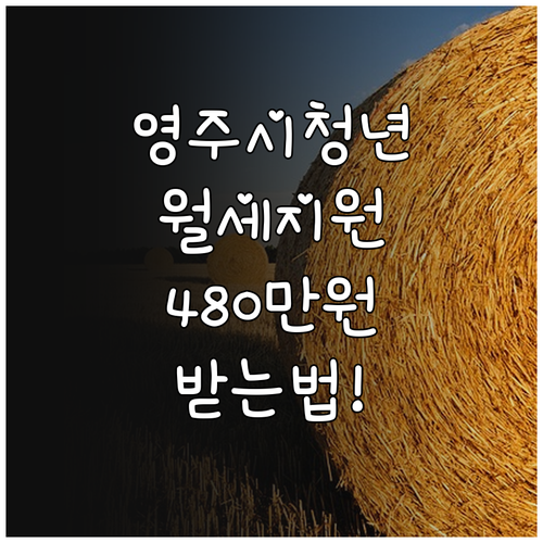 영주시 청년월세지원 최대 480만원 ..