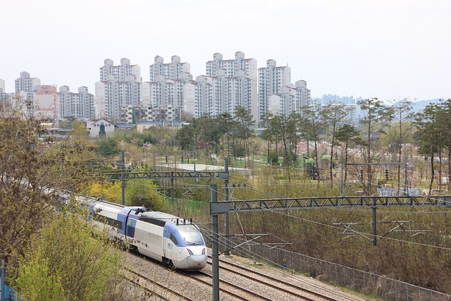 설날 KTX, SRT 예매 꿀팁 총정리
