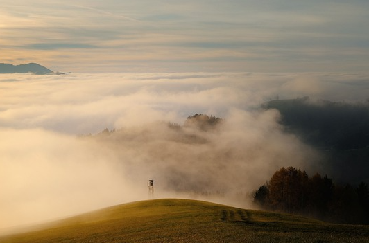 재미로-보는-무료사주풀이