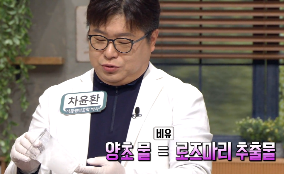 로즈마리추출물 효능