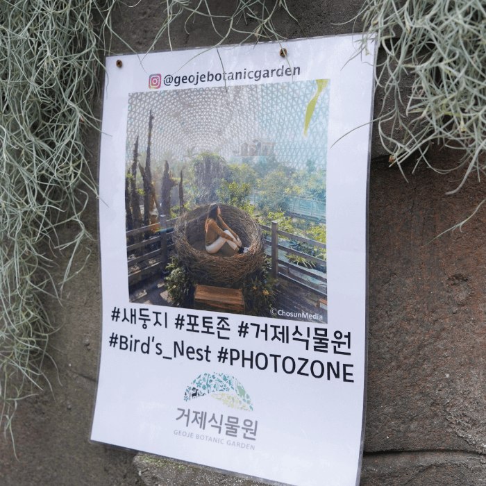 새둥지-포토존-안내