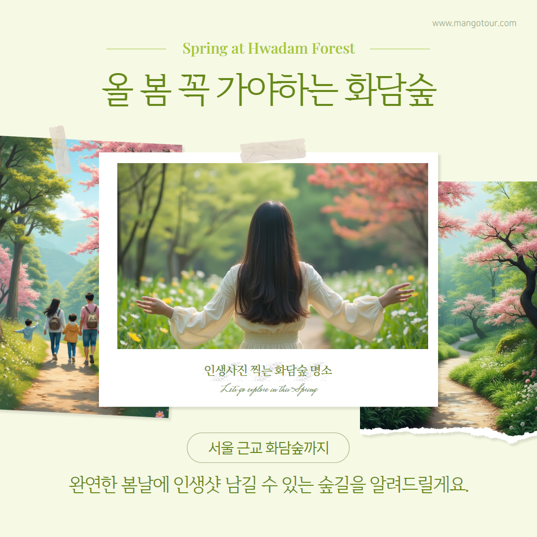 2025 화담숲 수선화 축제, 수선화 인생샷 명소 BEST 5