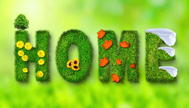 초록색 잔디로 쓰여진 HOME 글자가 매우 크게 적혀있다. 각 철자에는 노란꽃, 주황색꽃, 하얀 꽃잎으로 장식됐다.