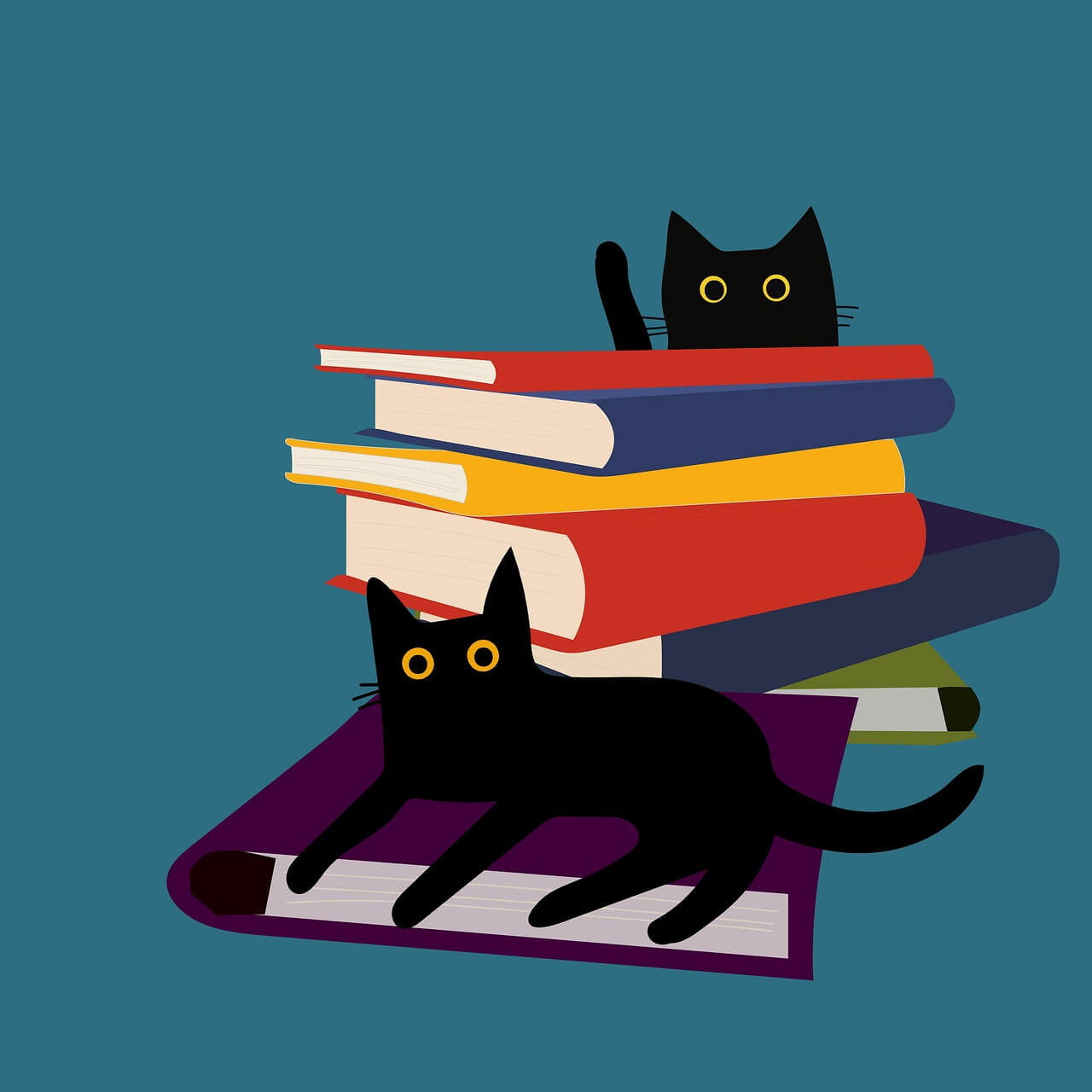 양산 반려묘 고양이 동반 독립서점