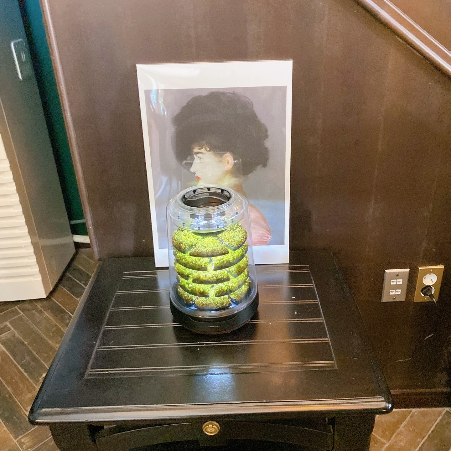 제주 조천 쇠물깍 함덕해수욕장 마피스 카페 빈티지 오션뷰