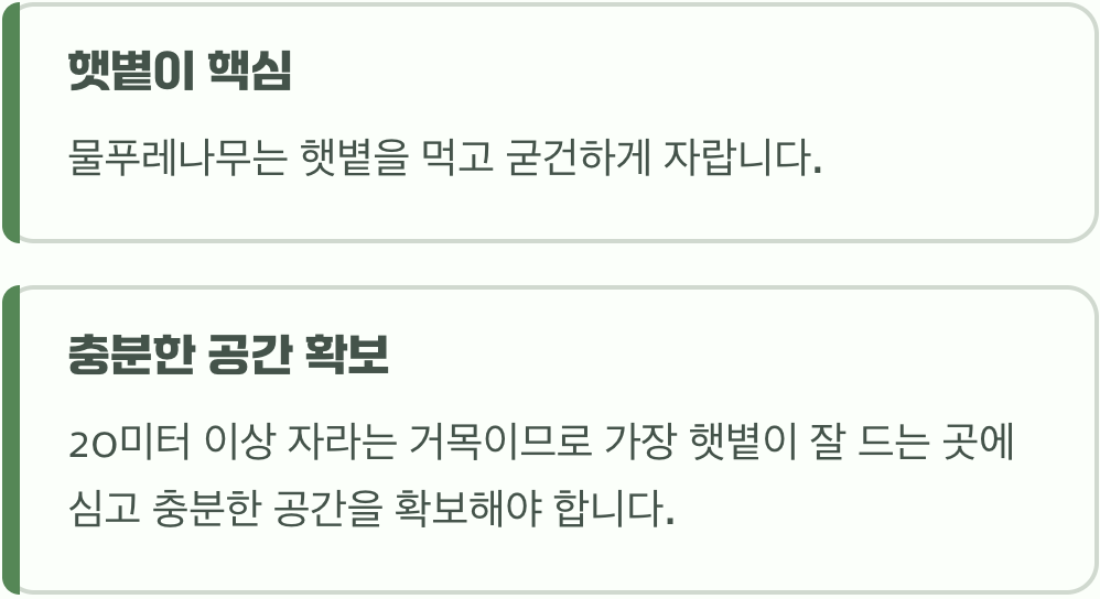 햇살을 향한 변치 않는 사랑
