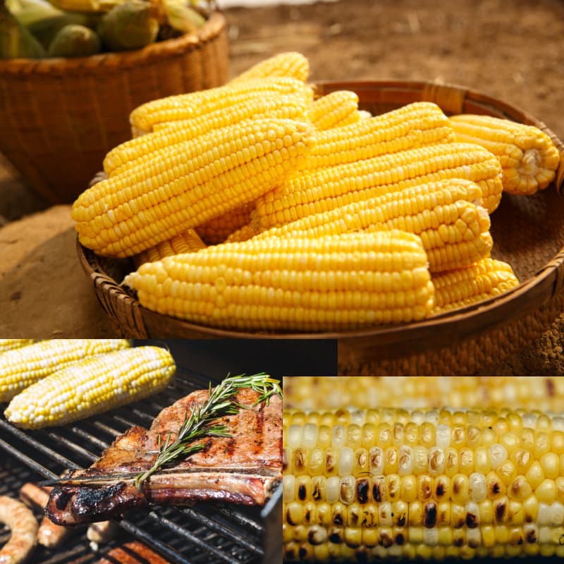 찌기 vs 삶기 &ndash; 뭐가 더 맛있을까?