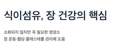 식이섬유 장 건강의 핵심