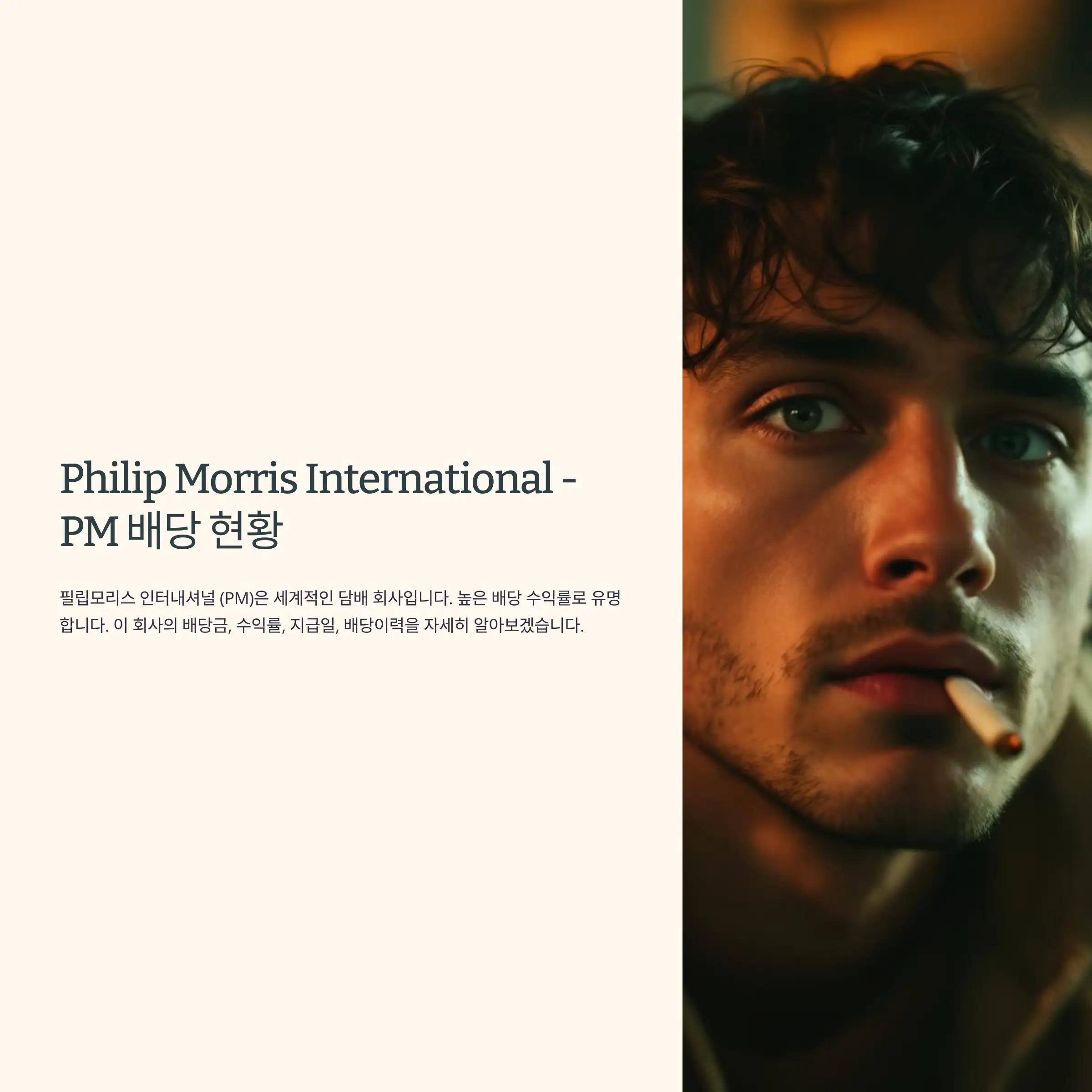 Philip Morris International - PM 배당 현황 : 배당금, 수익률, 지급일, 배당이력