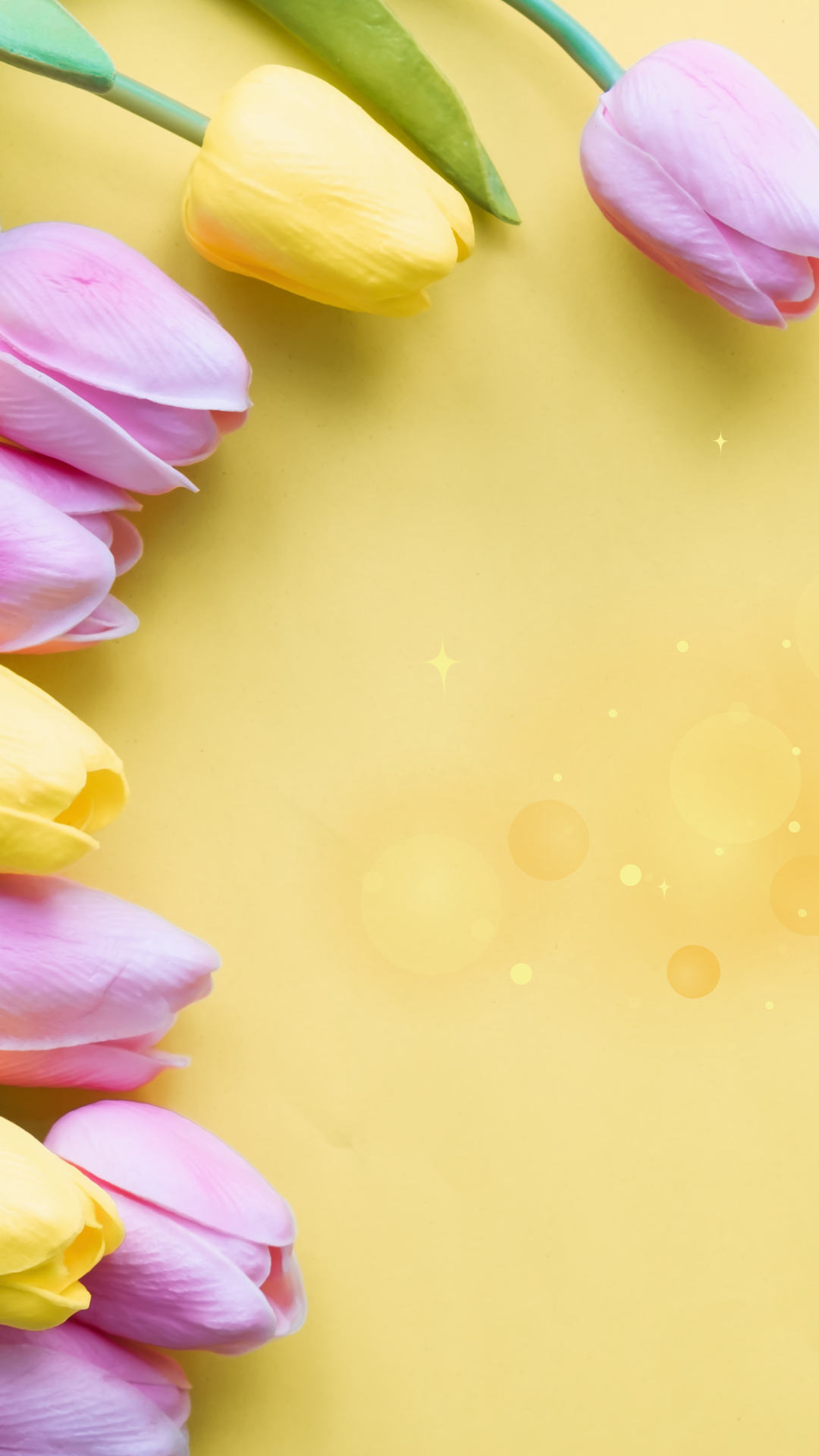 스마트폰 봄 계절 꽃 배경화면 사진 이미지 모음