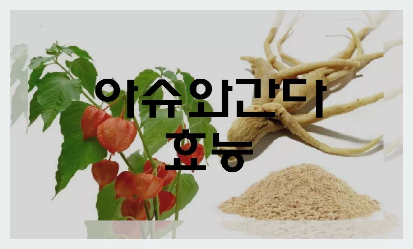 아슈와간다