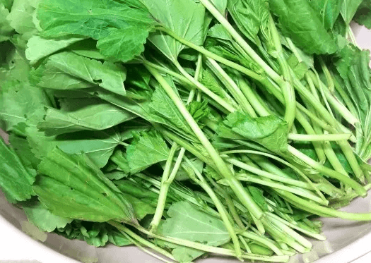 아욱국 아욱된장국 건새우와궁합 건강식 채소요리 집밥 레시피 국물요리 한식 요리법