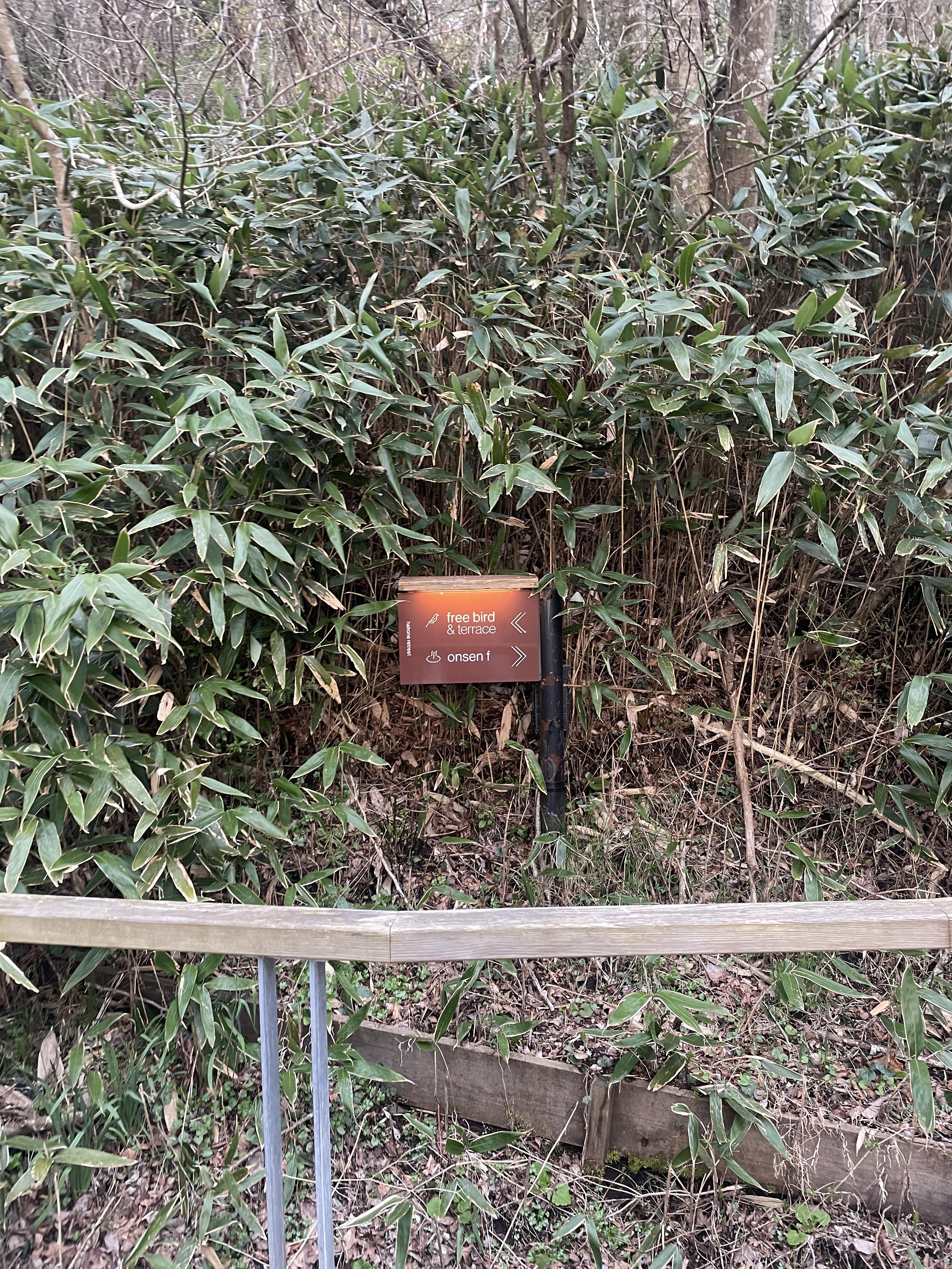 도쿄하코네