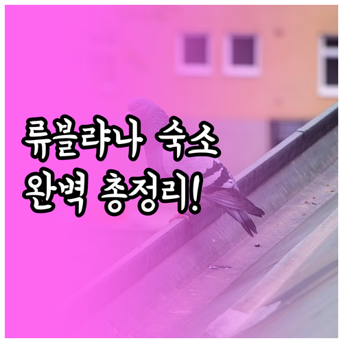 류블랴나 자유여행 숙소 위치별 특징과..