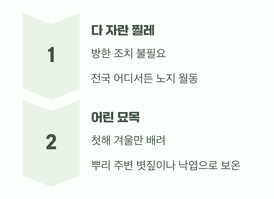 추운 겨울도 거뜬하게, '월동'