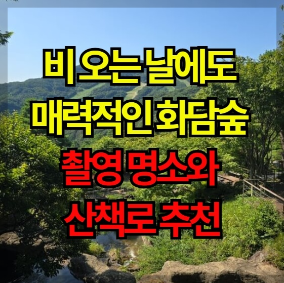 비 오는 날에도 매력적인 화담숲: 촬영 명소와 산책로 추천