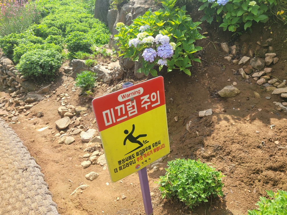 거제 지세포성, 수국과 라벤더 여행 총정리