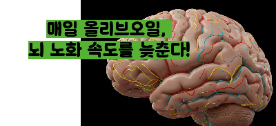 올리브오일 효능