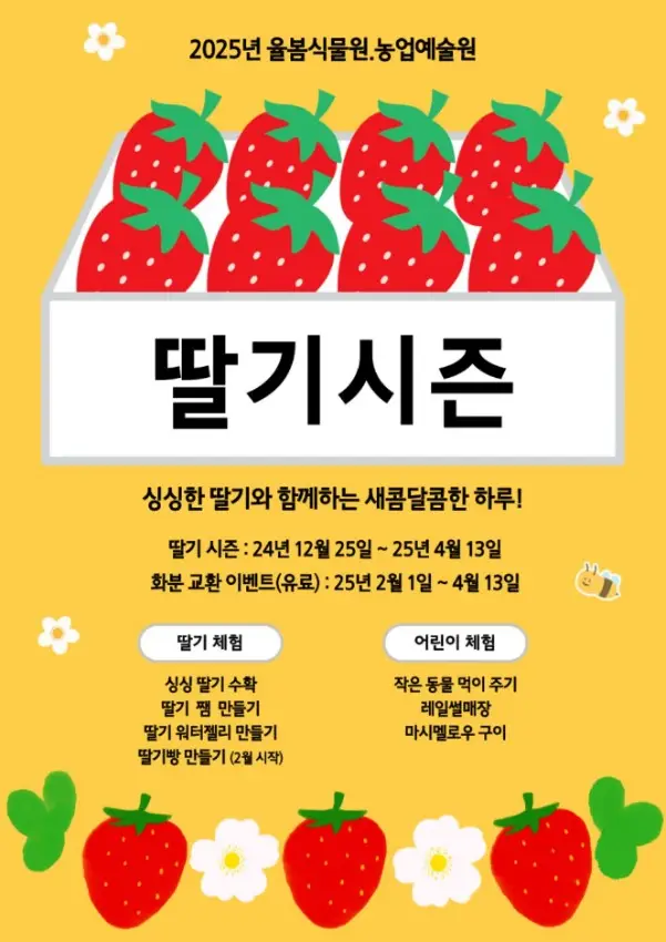 율봄식물원 딸기 시즌