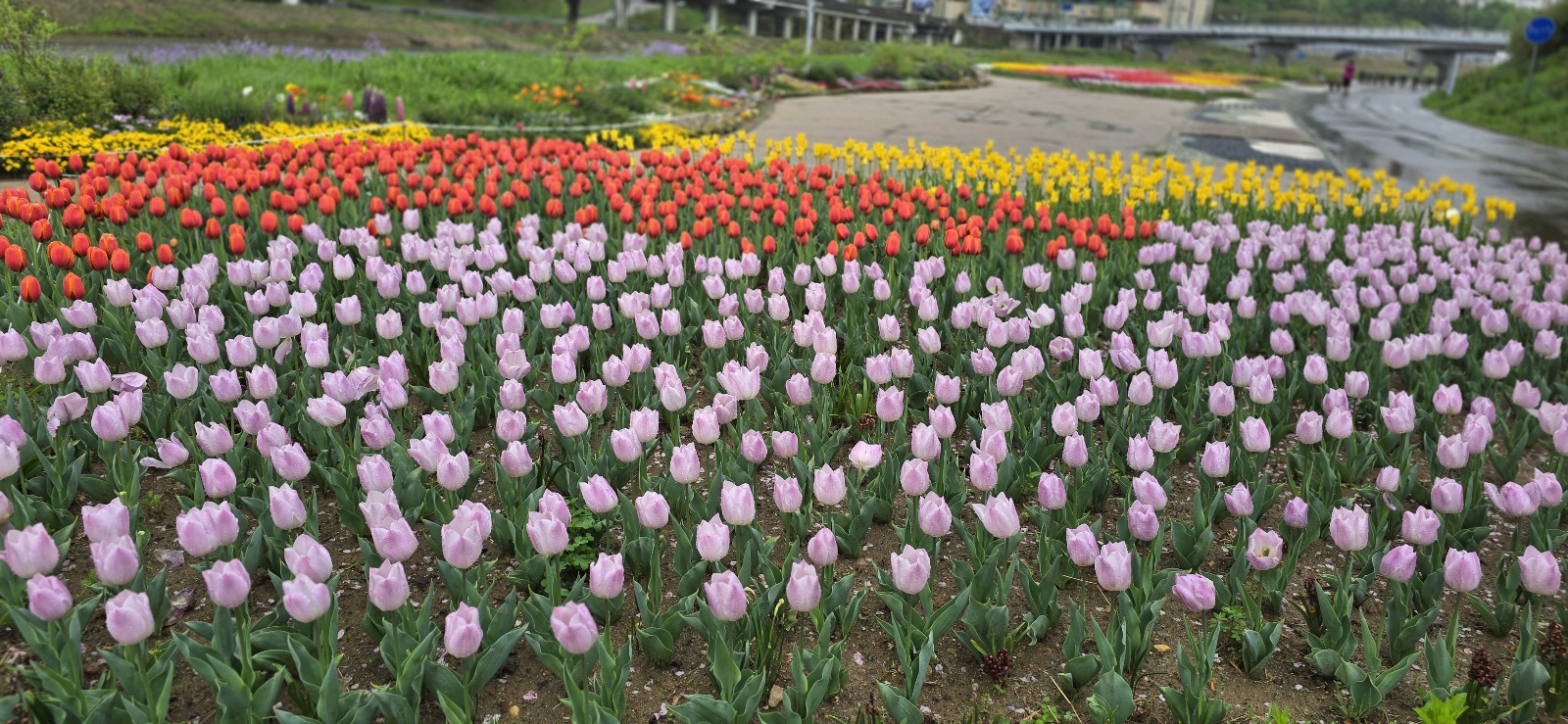 튜울맆 직접 찍은 사진