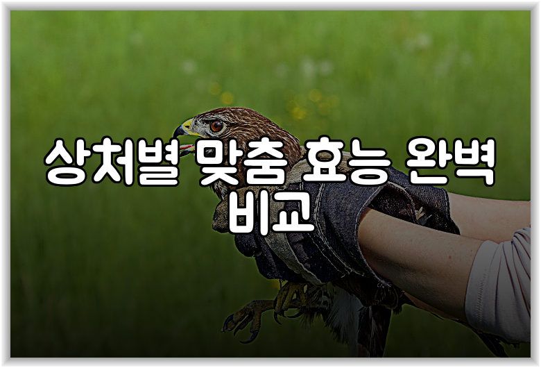 상처별 맞춤 효능 완벽 비교