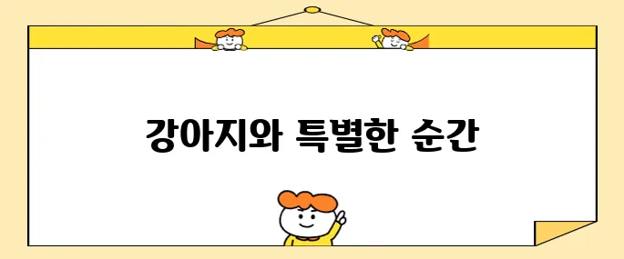 애견 동반 국내 여행 강원도 강아지 호텔 소노펫 홍천에서 특별한 경험을 만나보세요