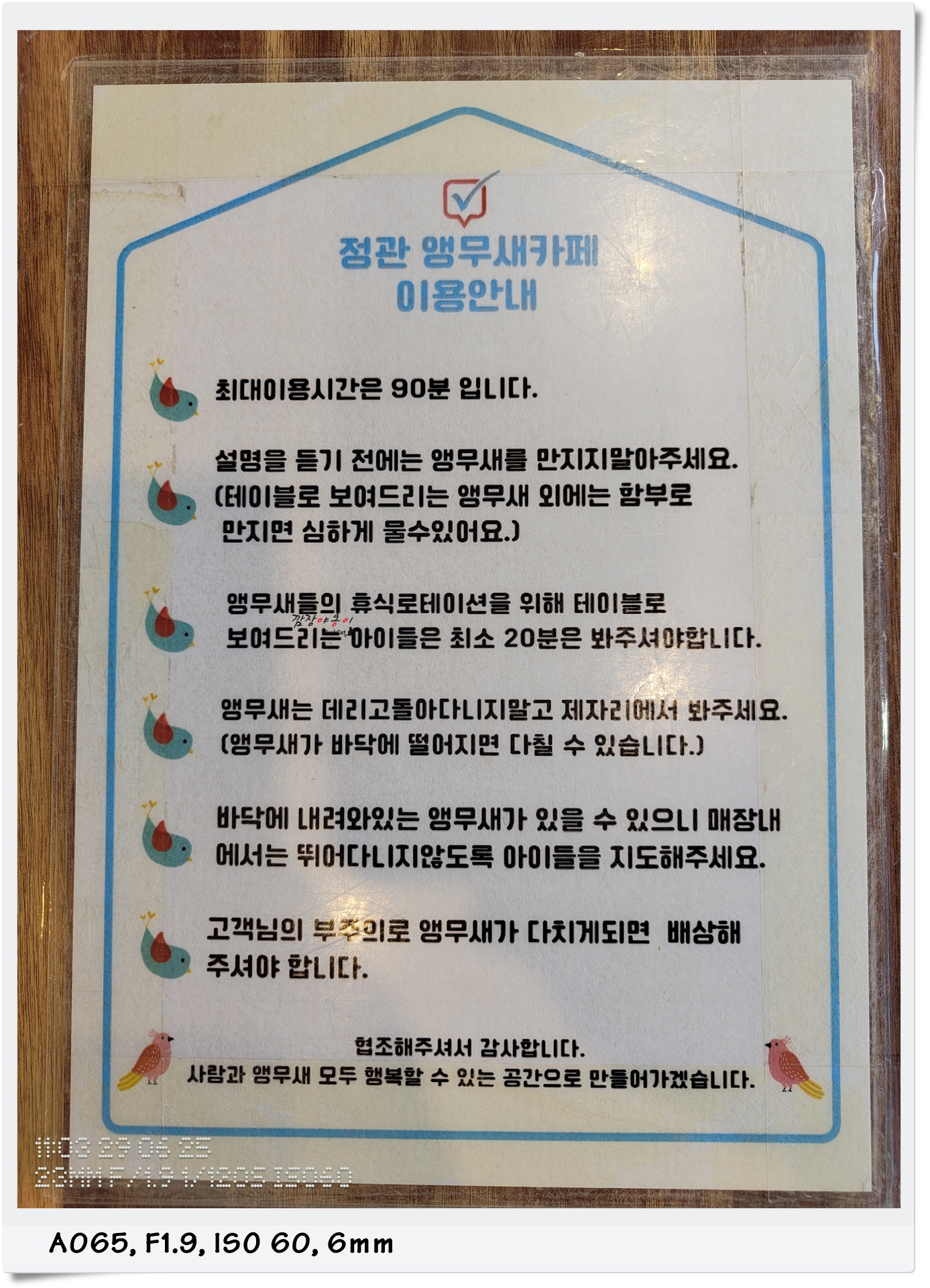 정관 앵무새카페 이용안내와 체험 주의사항 안내문