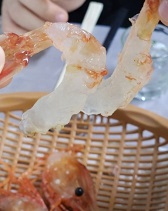 꽃새우