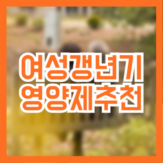 여성 갱년기 영양제 추천 필수 영양소 체크!