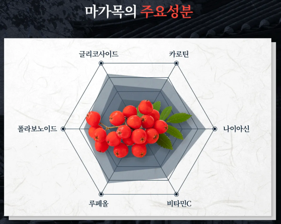 마가보감 가격 주요 성분 이미지
