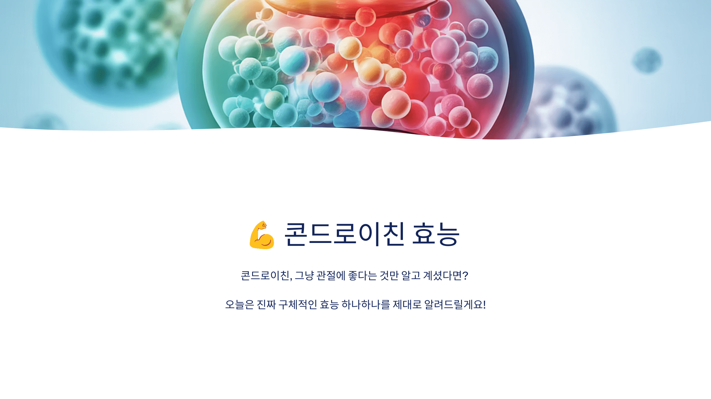 콘드로이친과 관련된 사진입니다.