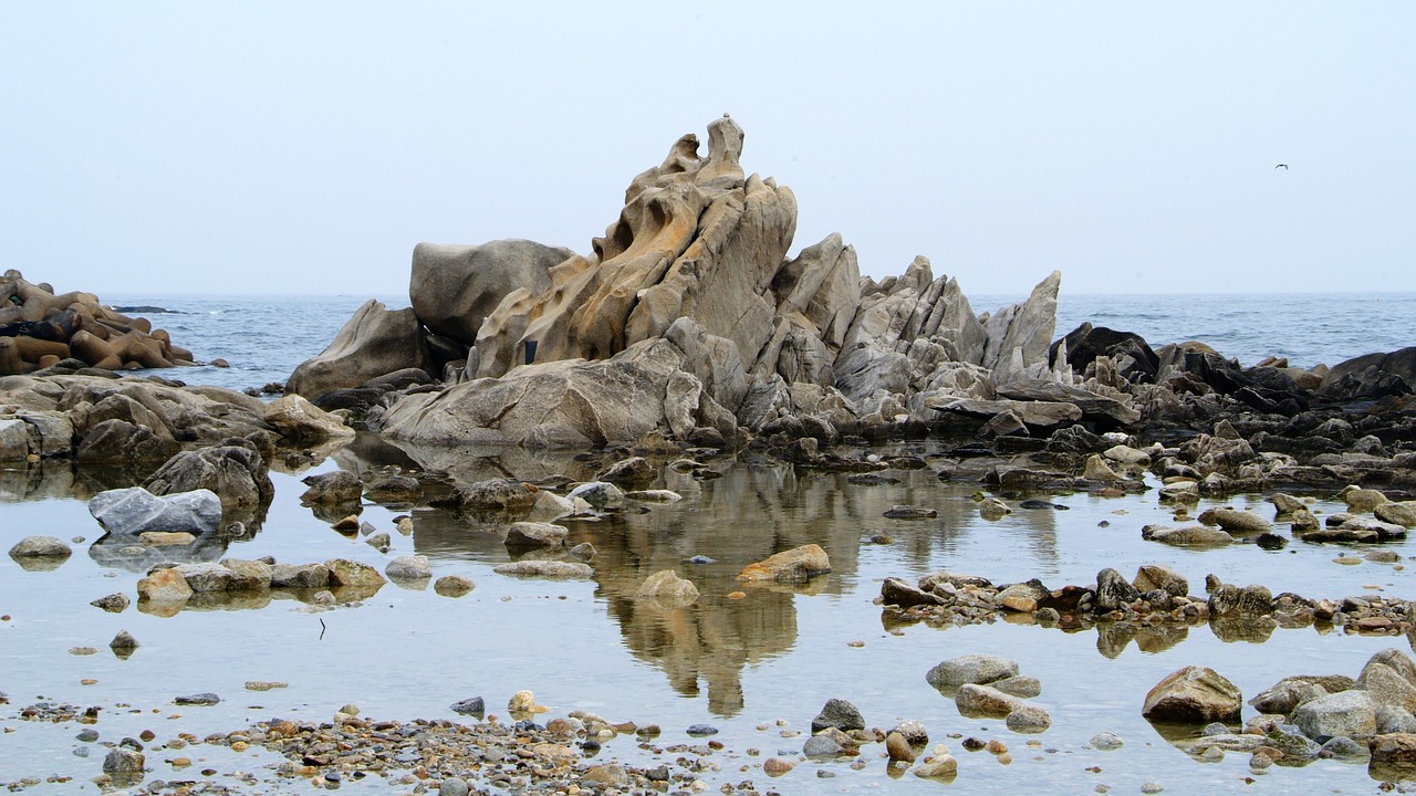 여름휴가 강릉 디지털 노마드 여행지