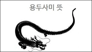 용두사미 뜻