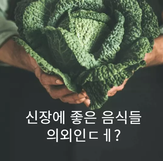 신장-좋은-음식들