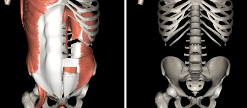 골반 틀어짐 교정