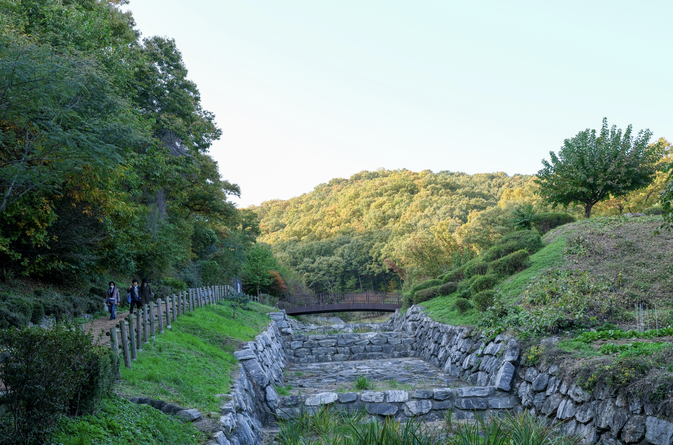 우면산 생태공원 이미지