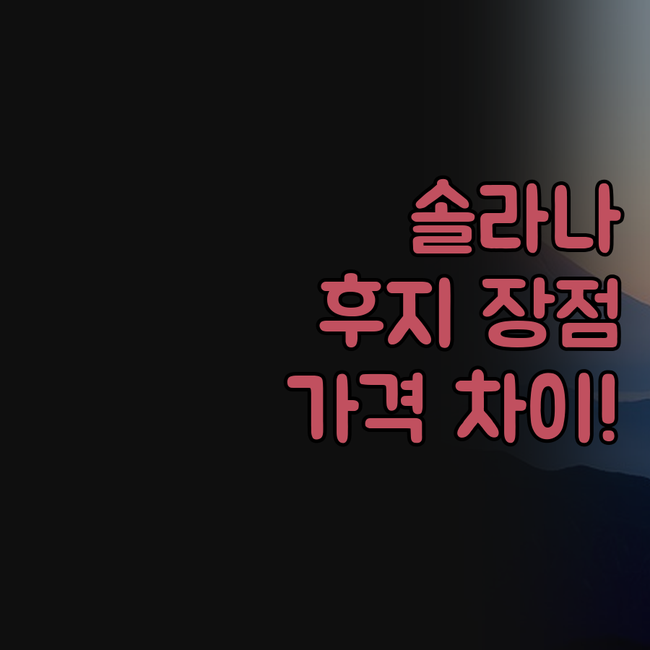 솔라나 스마트 인 후지 가와구치코 인..