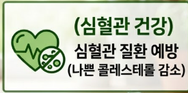 여주 효능