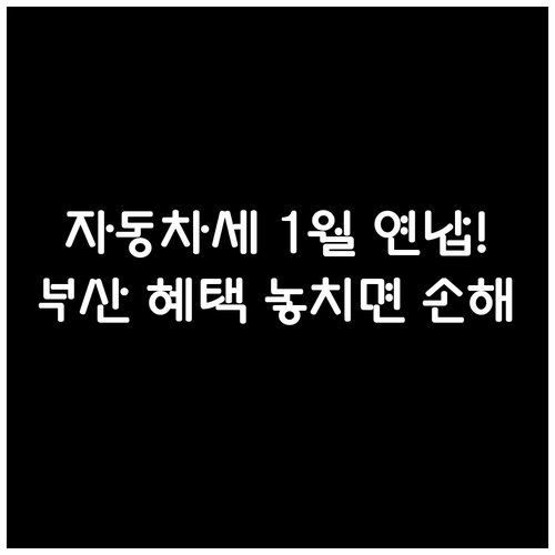 부산 자동차세 1월 연납 할인 혜택과..