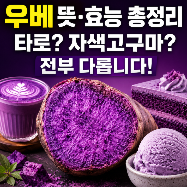 우베 뜻 효능 총정리! 우베 vs 타로 vs 자색고구마 슈퍼푸드 차이점 1
