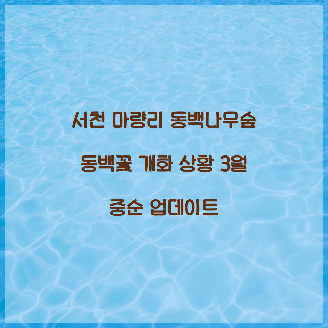 서천 마량리 동백나무숲 동백꽃 개화 상황