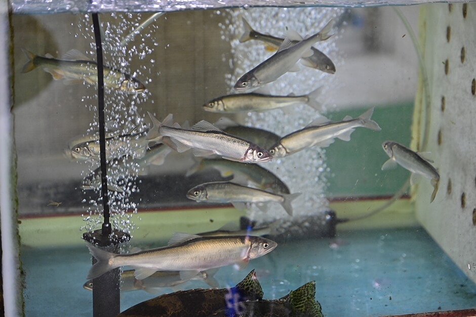 곡성 맛집 베스트 10