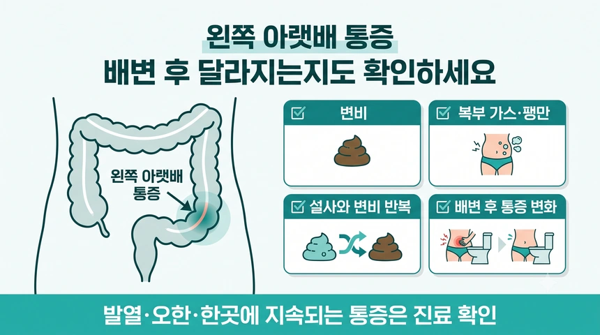 변비로 인한 아랫배 통증 증상 설명