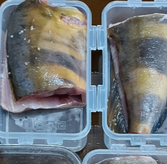 이면수를 플라스틱 용기에 한 마리씩 깔끔하게 담아놓은 사진