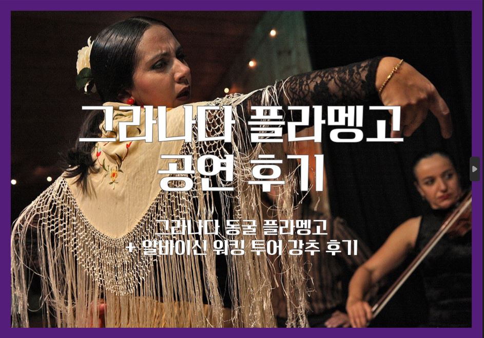 그라나다 플라멩고 후기