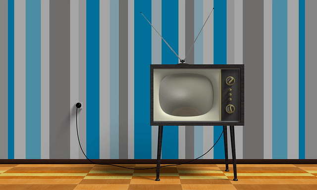 KBS TV 수신료 해지