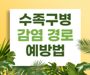 수족구병의 감염 경로와 예방법
