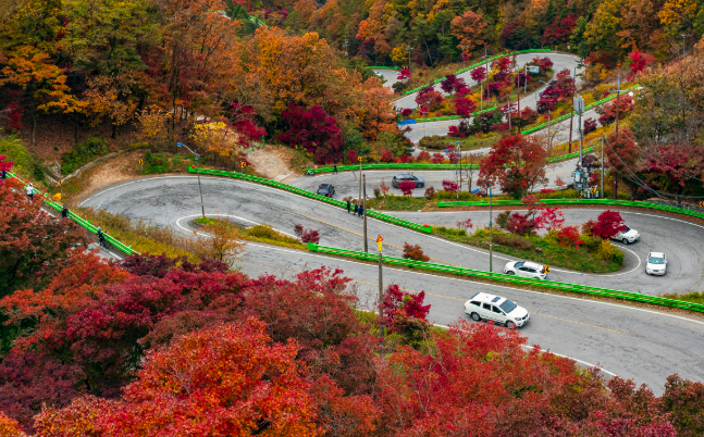 보은 아파트 단지별 상세 분석 — 실제 거주 기준으로 보는 주요 아파트 특징
